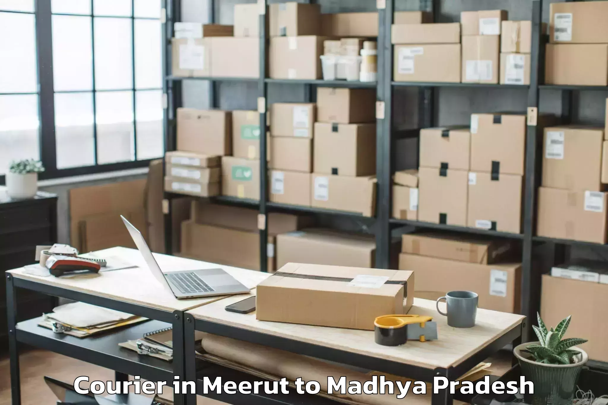 Reliable Meerut to Suwasra Courier